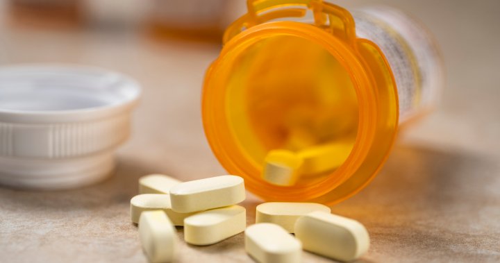 U of A researchers test AI to measure risk of prescription opioids