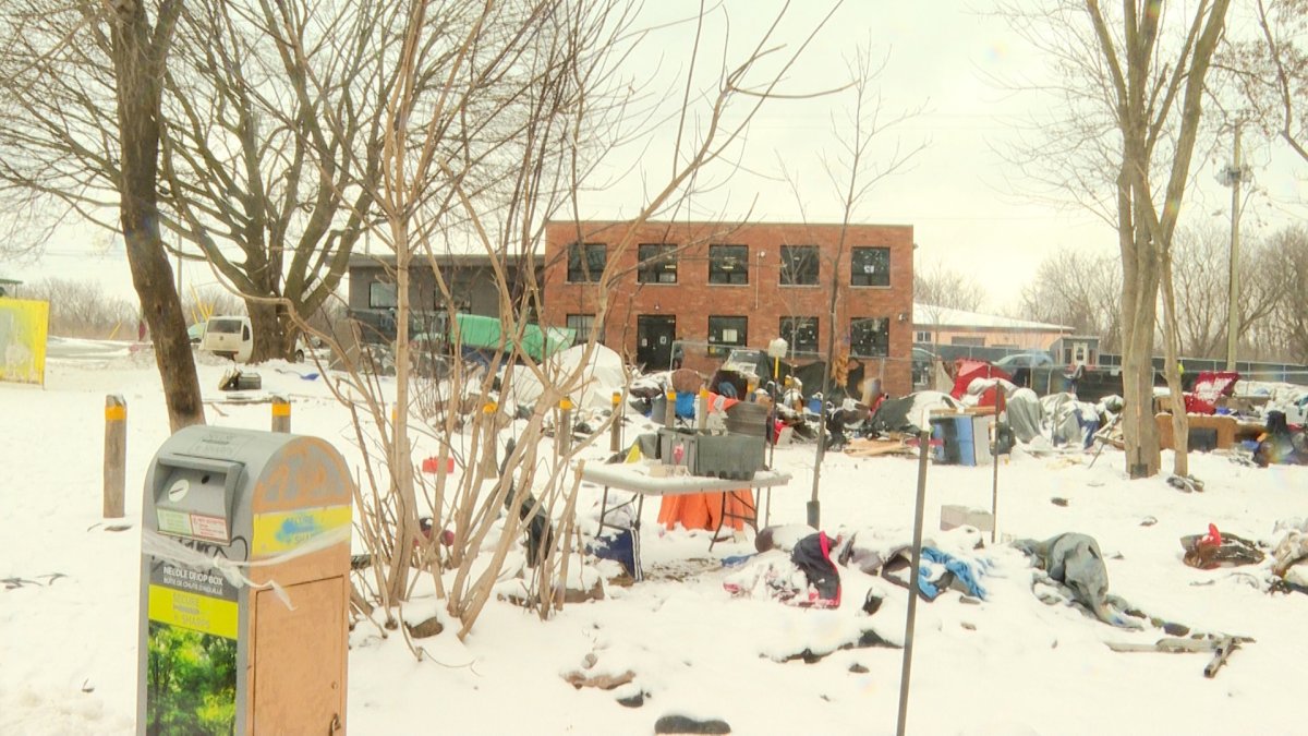 The unhoused encampment near Kingston's Integrated Care Hub.