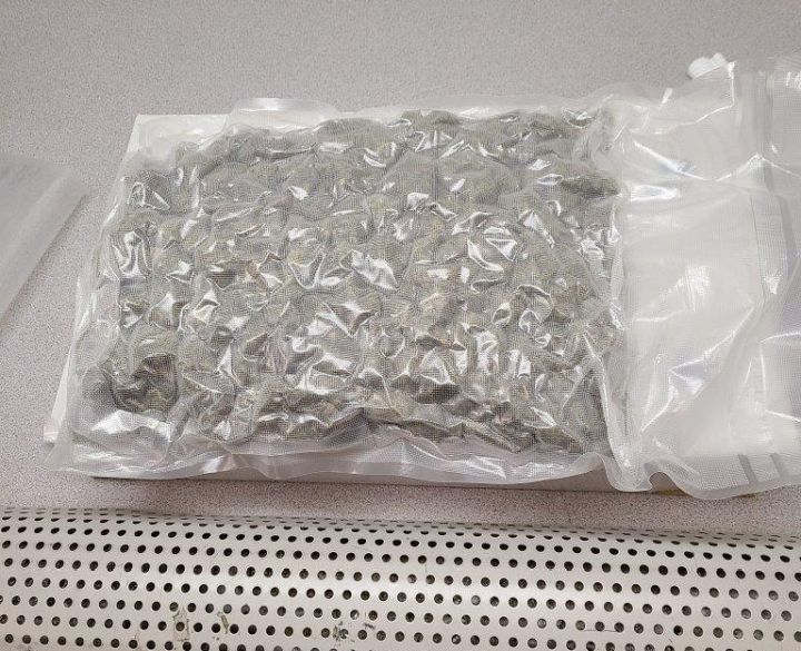 The RCMP said a months-long investigation led to the seizure of cannabis and hashish in the Calgary area.