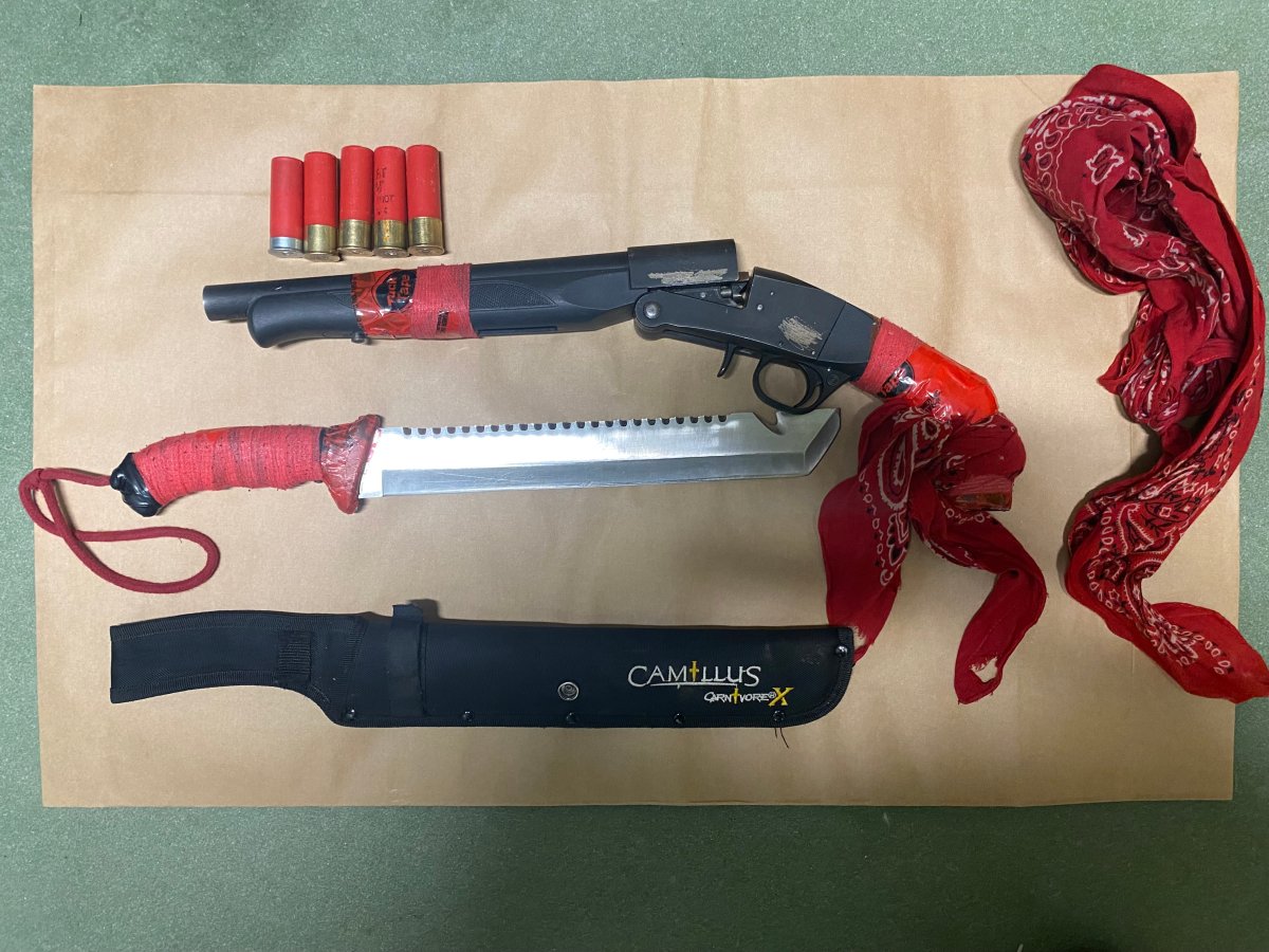 Drugs and weapons were seized by Beauval RCMP from an investigation that started in December.