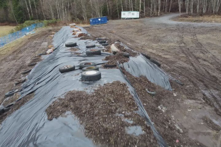 Contaminated compost piles dumped in field has B.C. residents worried