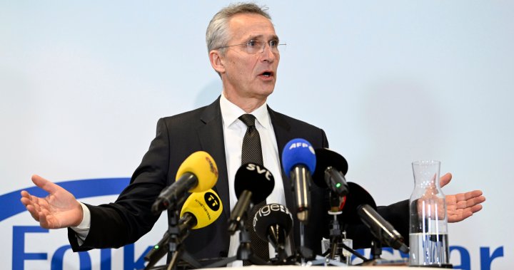 Sweden has done what’s needed to join NATO, Jens Stoltenberg says