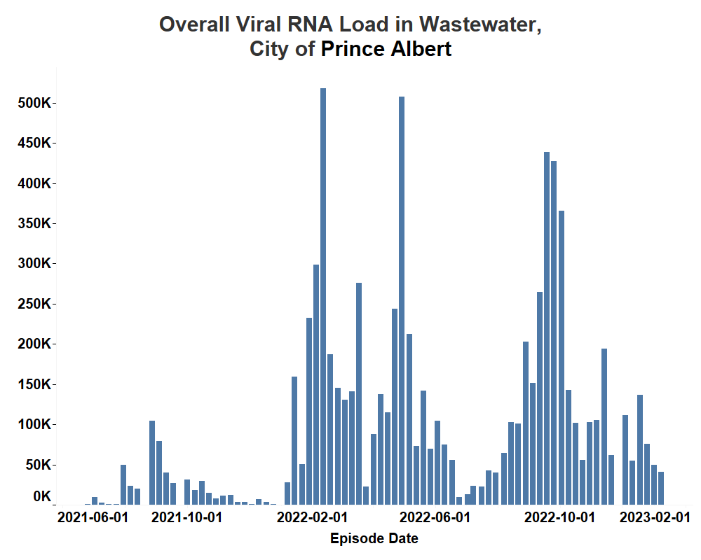 Overall viral load found in the wastewater in Prince Albert.