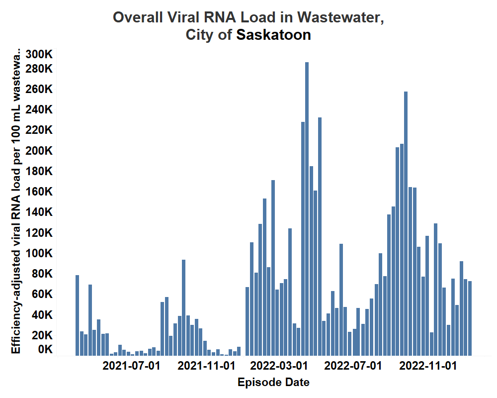 Overall viral load found in the wastewater in Saskatoon.