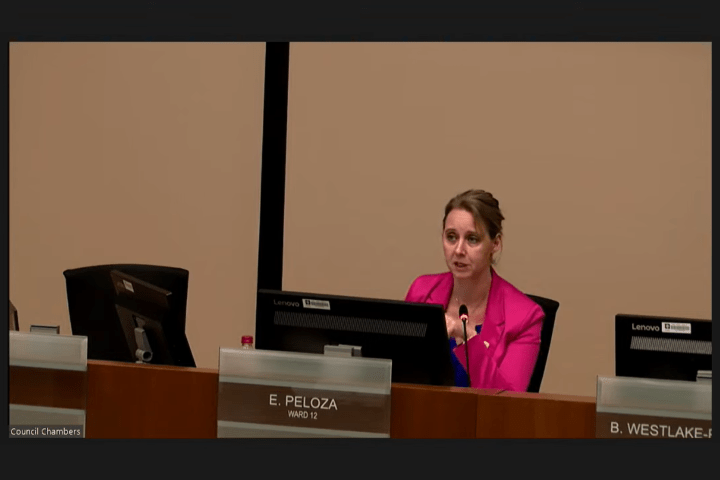 London, Ont. councillors struggle to even set target range in 1st multi-year budget debate - Vimarsana News