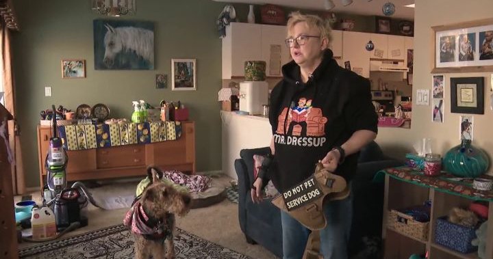 Alberta woman filing human rights complaint after saying taxi denied ride to her and service dog