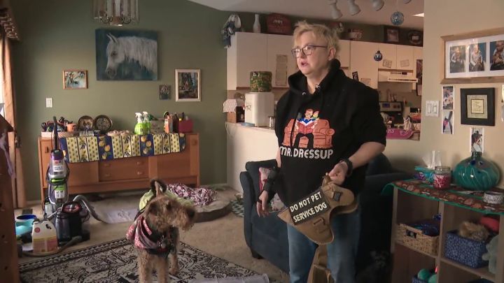 Alberta woman filing human rights complaint after saying taxi denied ride to her and service dog