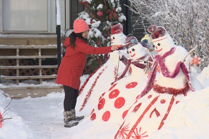 A village of snowmen built by a 48-year-old Regina woman draws attention