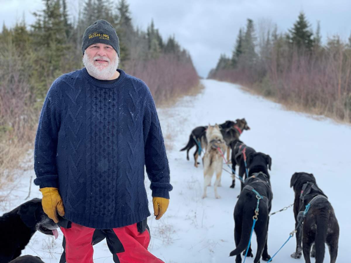 ‘Depression melted away’: Meet a N.B. man finding pure joy in dog sledding - image