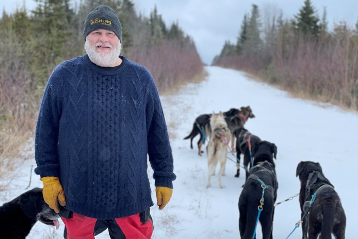 ‘Depression melted away’: Meet a N.B. man finding pure joy in dog sledding
