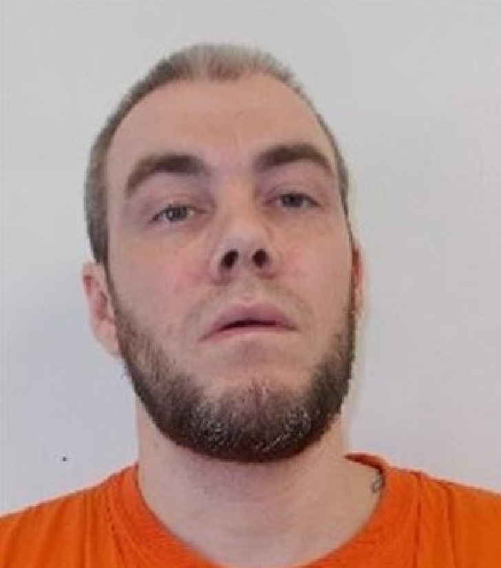 Wanted federal offender known to frequent Kingston, Belleville and Oshawa - image