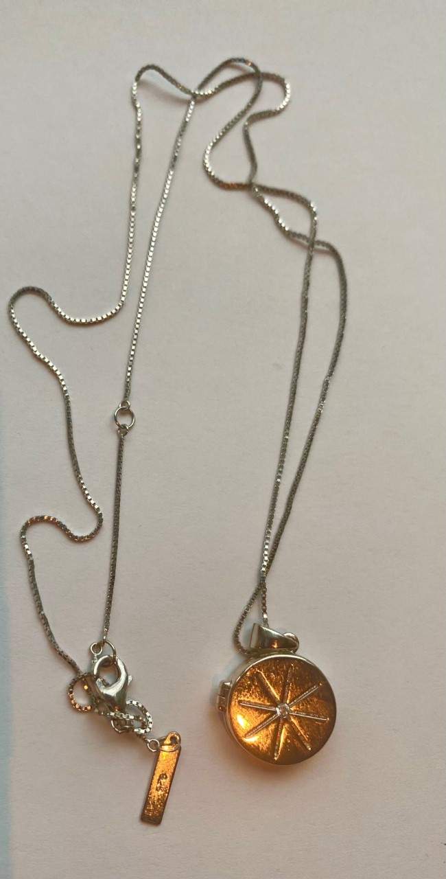 Do you recognize any of these items stolen from a Vancouver home?