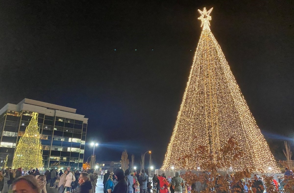 The Tree of Hope campaign raised $1 million for local organizations through their annual campaign. 