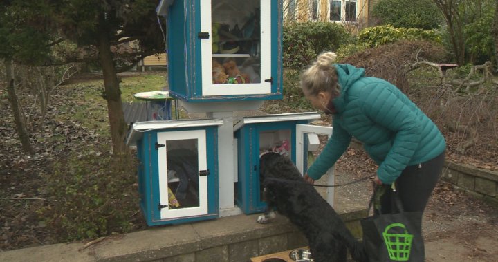 ‘A beautiful thing’: East Vancouver neighbourhood bands together to create community toy exchange for dogs