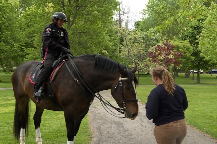 Kingston, Ont. police disband mounted unit, citing staffing issues