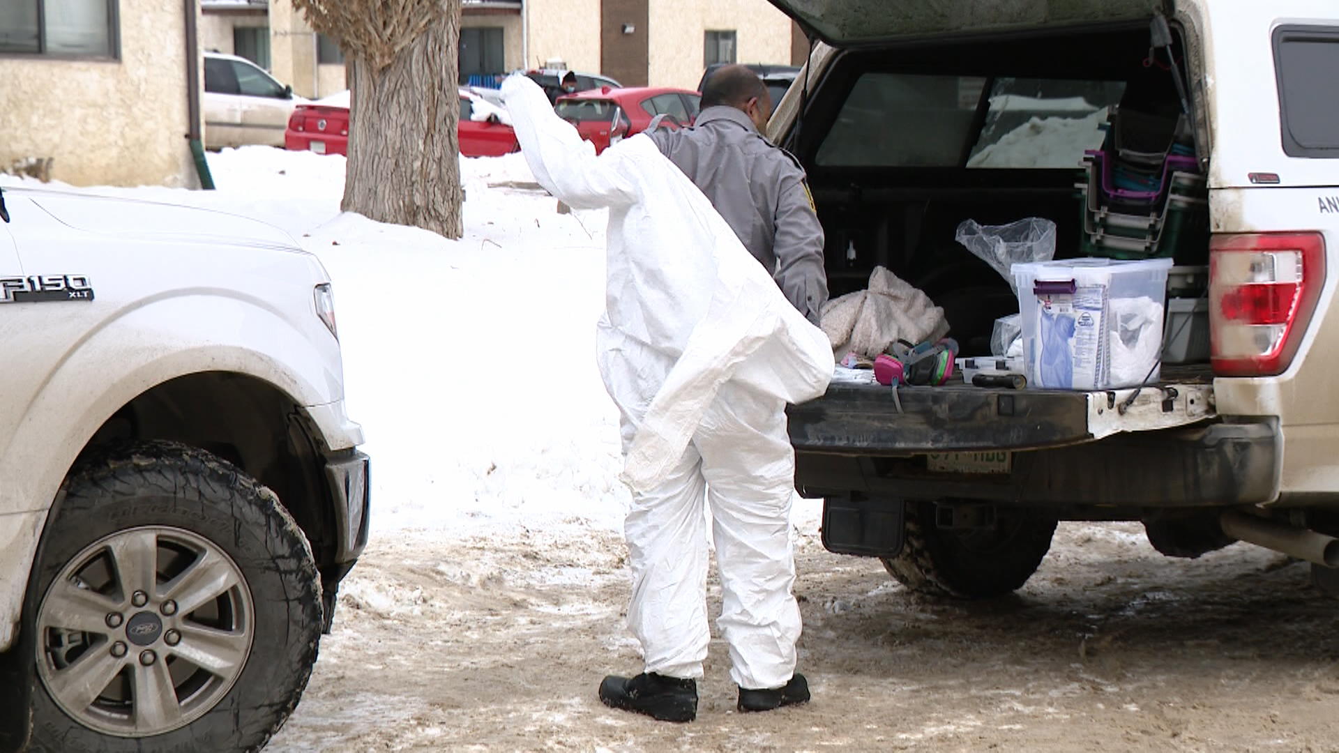 Saskatoon apartment suite with over 70 cats also faced plumbing and heating issues – Saskatoon | 24CA News