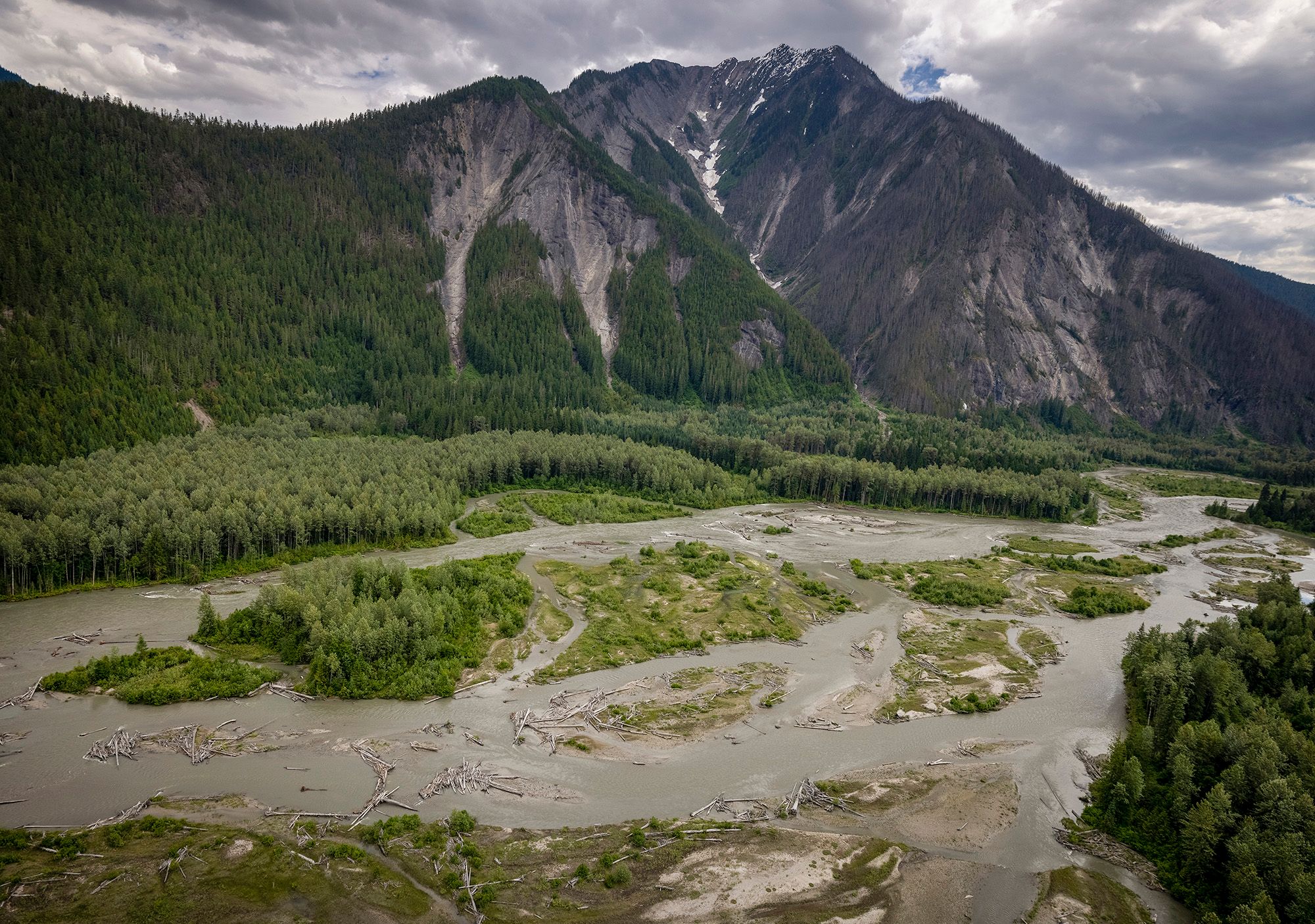 B.C. Government Announces New Conservancy To Protect Rare Ecosystems ...