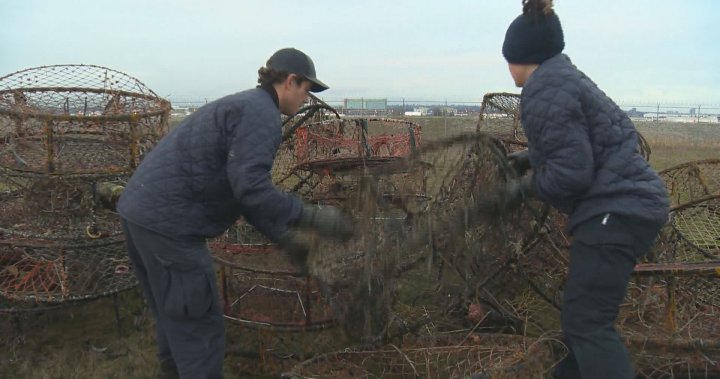 Fisheries and Oceans Canada seize hundreds of illegal, ghost traps near White Rock, B.C.