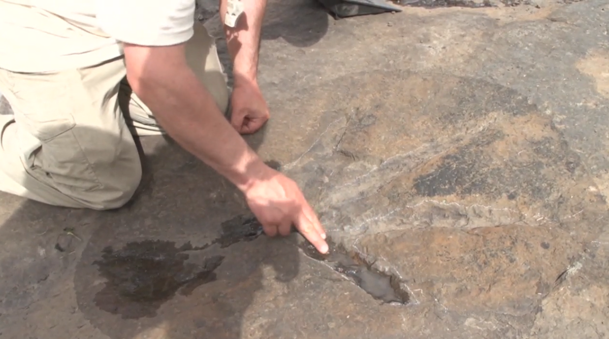 Fossilized prints at the Six Peaks Dinosaur Track Site. 