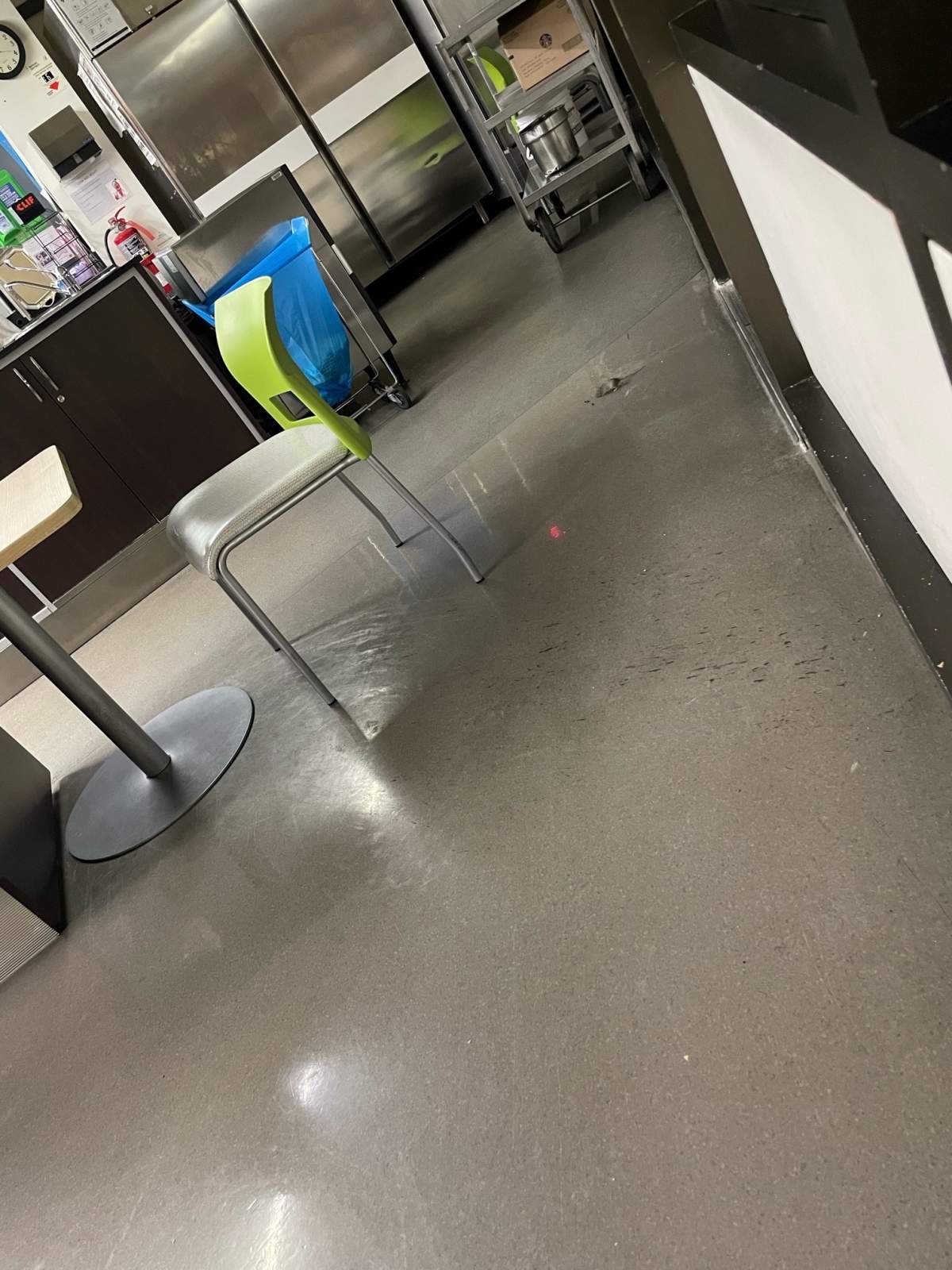 Visitor, Julie Denhamer captures picture of mouse on cafeteria floor.