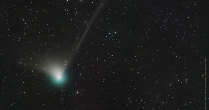 Se acerca un raro cometa verde no visto en 50.000 años.  Así es como los canadienses pueden verlo: patriótico