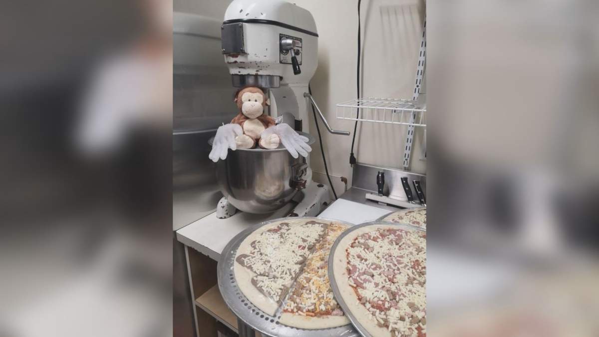 Stuffed monkey, stranded at Norton, N.B. gas station, struggles to find its way home - image