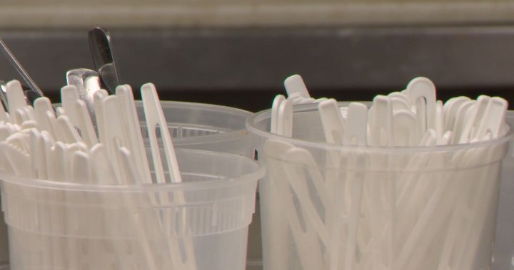 Public to speak to city council on Calgary’s single-use items bylaw