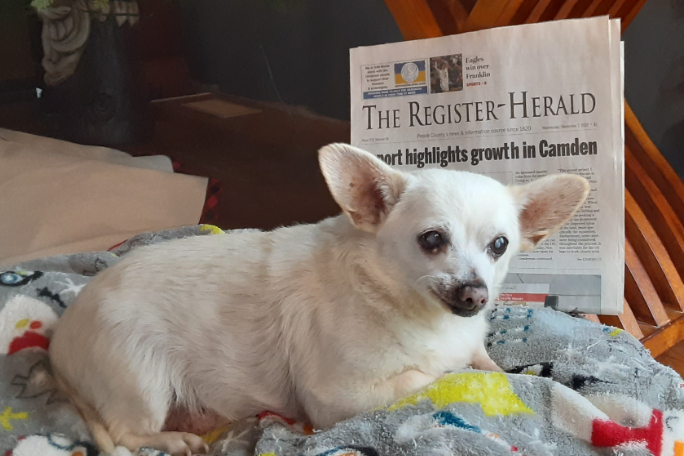 Spike sitting in front of a newspaper, presumably to show that he is still currently living.