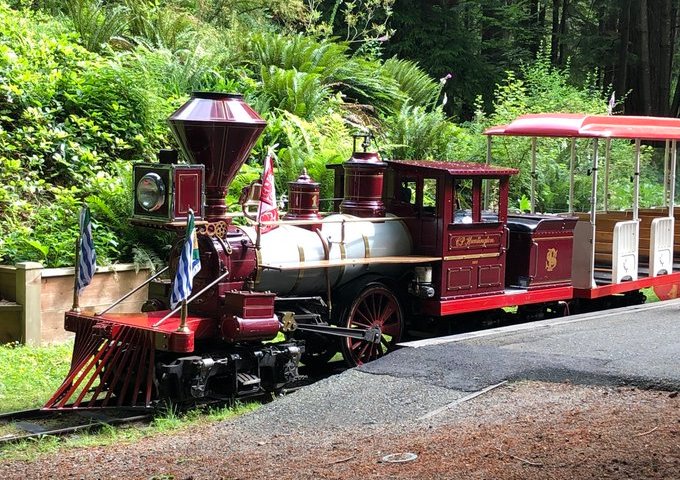 No Halloween-themed train ride at Stanley Park for fourth year in a row