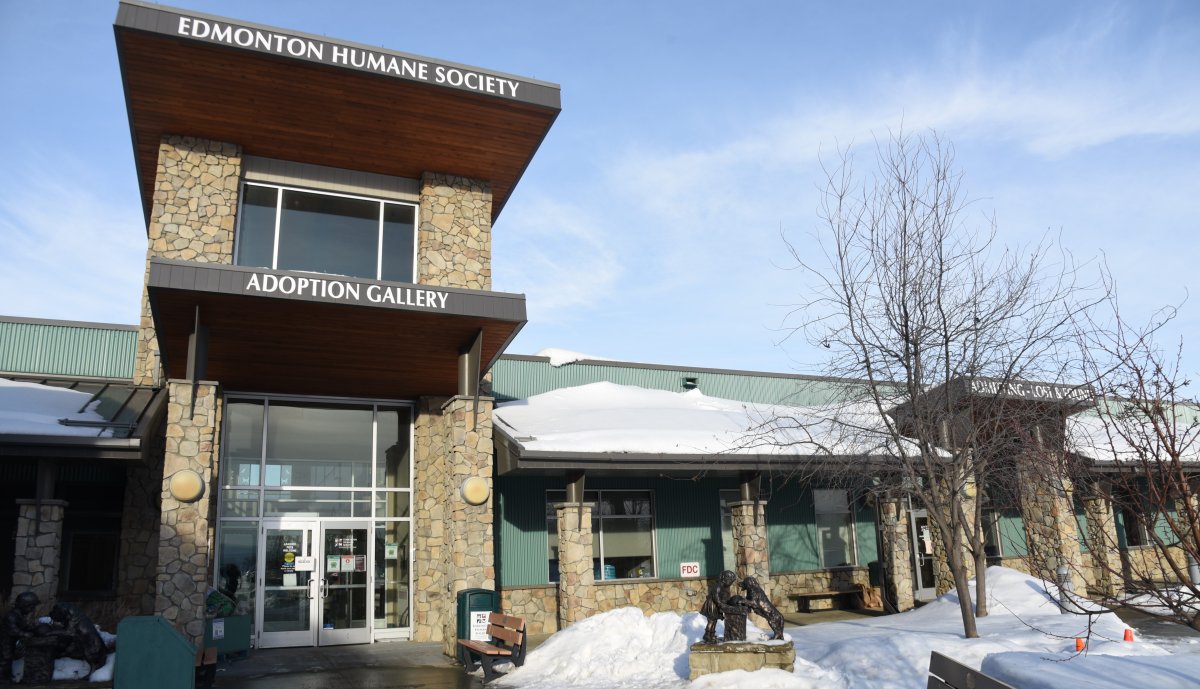The Edmonton Humane Society in winter. 