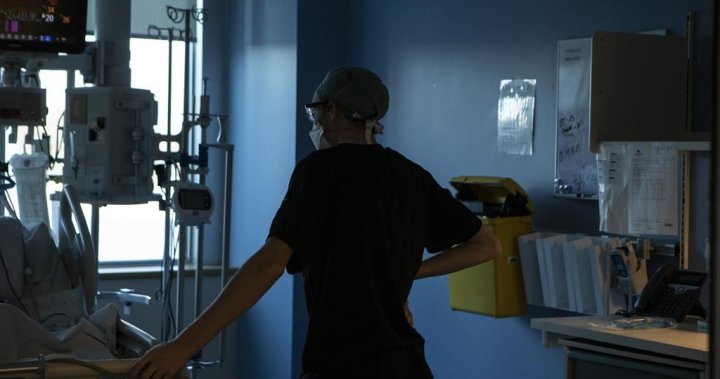 As sexual assault rates rise, provinces face shortages of specially trained nurses