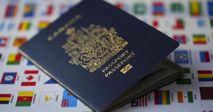 The Institute for Canadian Citizenship says Statistics Canada data points to a 40 per cent decline in citizenship uptake since 2001. The group’s
