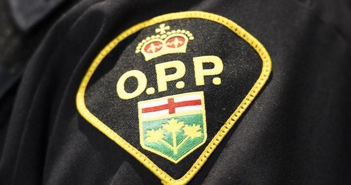 Toronto'lu bir adamın cesedi Campbellford yakınlarındaki Trent Nehri'nde bulundu: Northumberland OPP |  Globalnews.ca