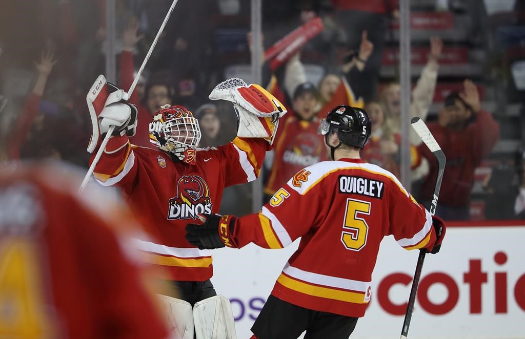 Calgary goaltender Carl Tetachuk, left, and defenceman Matthew Quigley celebrate after the Dinos' 4-2 win over the Mount Royal University Cougars at the Scotiabank Saddledome, in Calgary, Alta., Jan. 17, 2023.