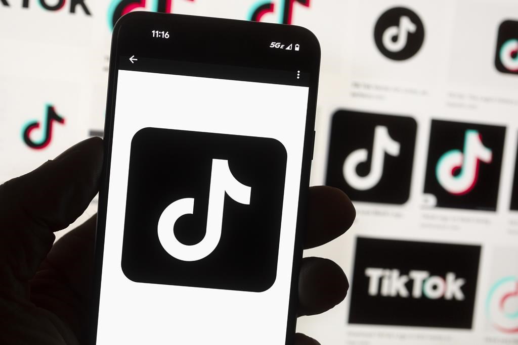FILE - The TikTok logo is seen on a cell phone on Oct. 14, 2022, in Boston. (AP Photo/Michael Dwyer, File).