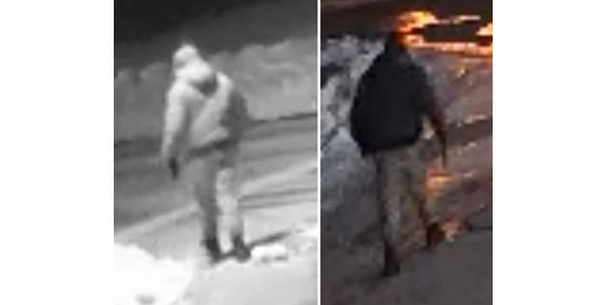 Police are searching for a suspect after a woman was robbed in Toronto,