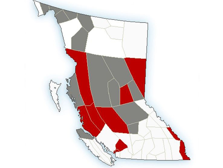 A graphic showing arctic outflow warnings (in red) and extreme cold warnings (in grey) for parts of B.C. on Thursday, Feb. 23, 2023. Areas in white have no weather warnings.