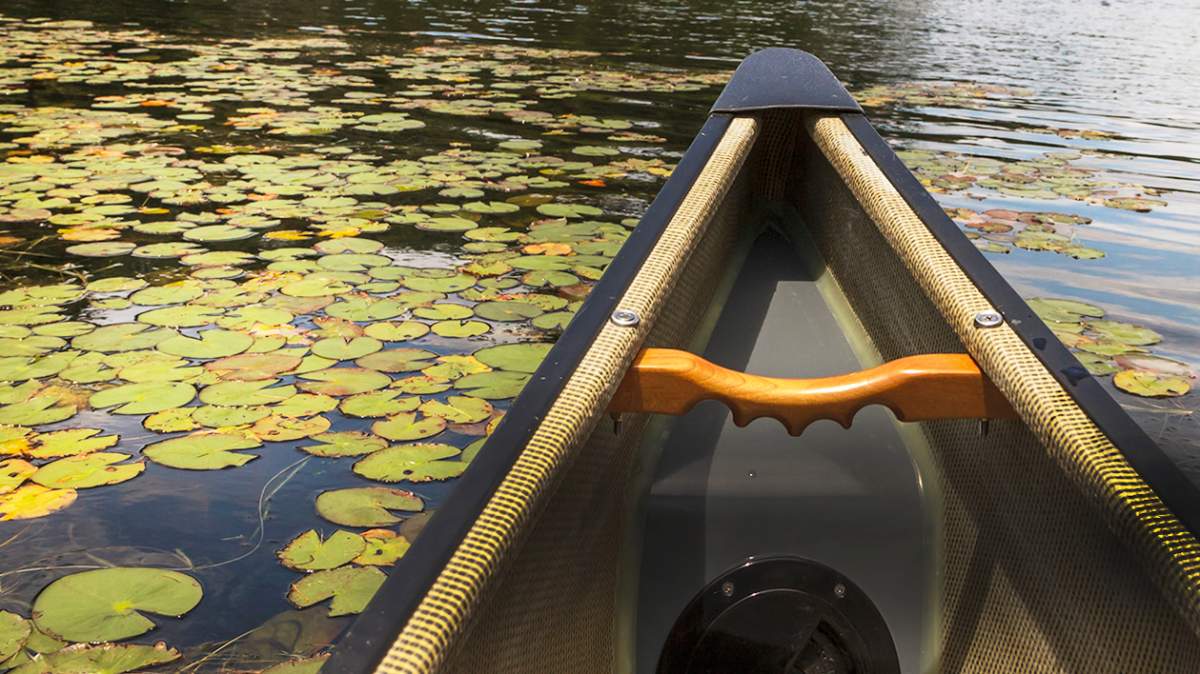 The County of Frontenac is looking to hear from local businesses.