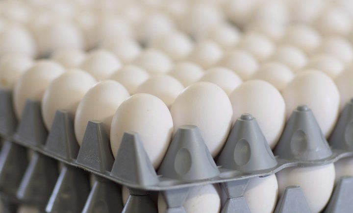 Egg brands recalled in Saskatchewan over potential salmonella risk