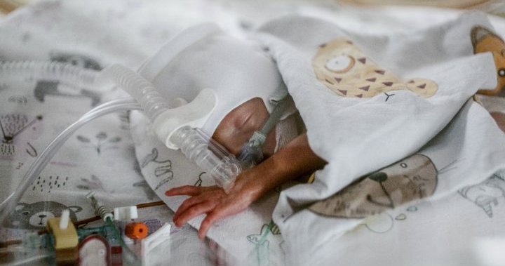 Polish woman gives birth to healthy quintuplets, joining 7 siblings