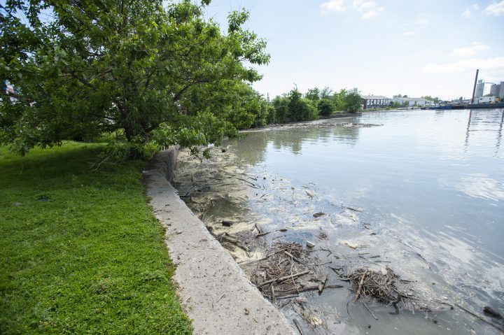 Debris that has made its way down the Don River, near the future home of Sidewalk Labs in Toronto on Tuesday, June 25, 2019. 