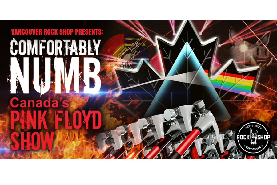 Comfortably Numb – Canada’s Pink Floyd Show March 24 & 25 - image