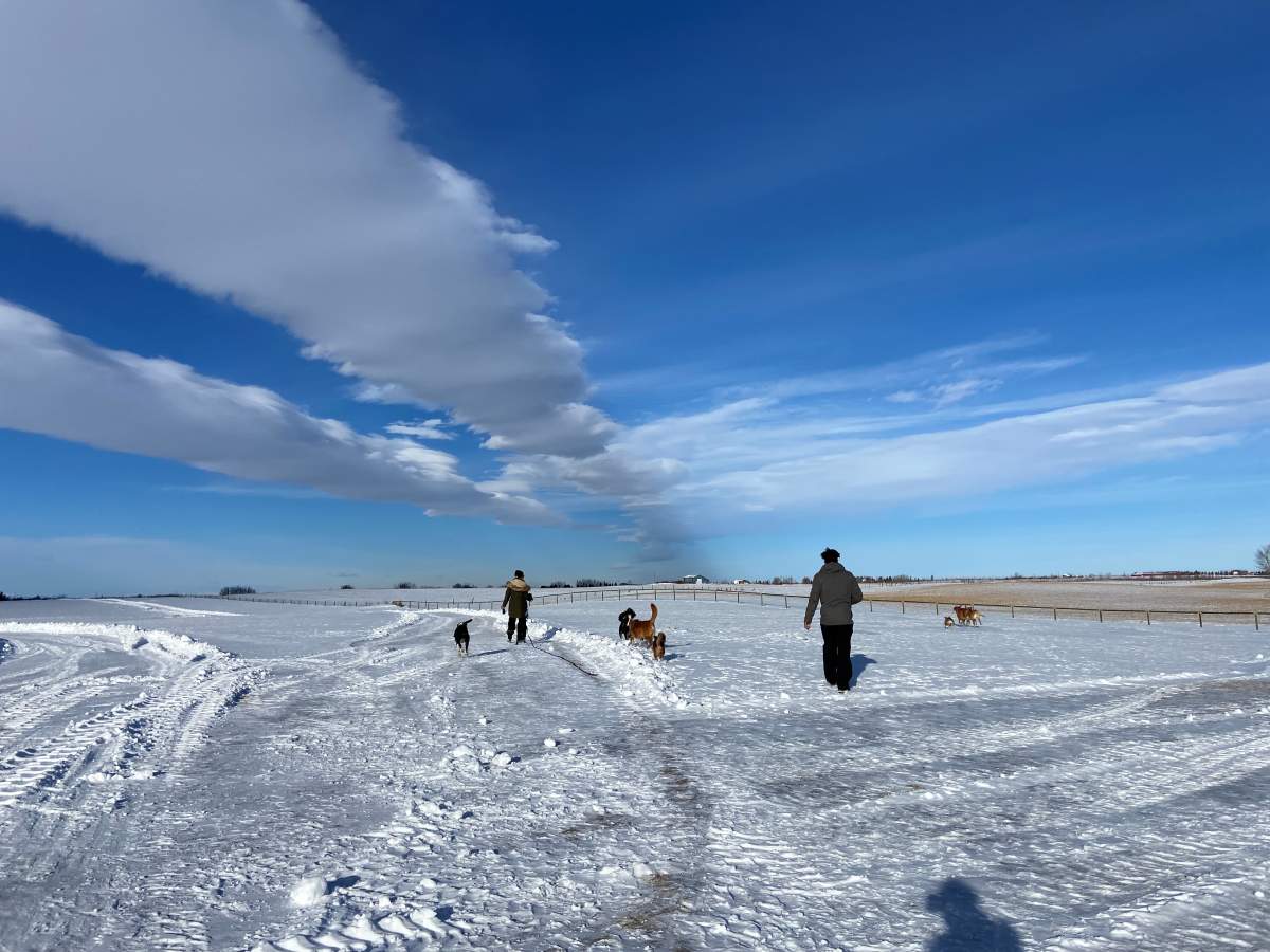 Fenced park where they play for an hour.