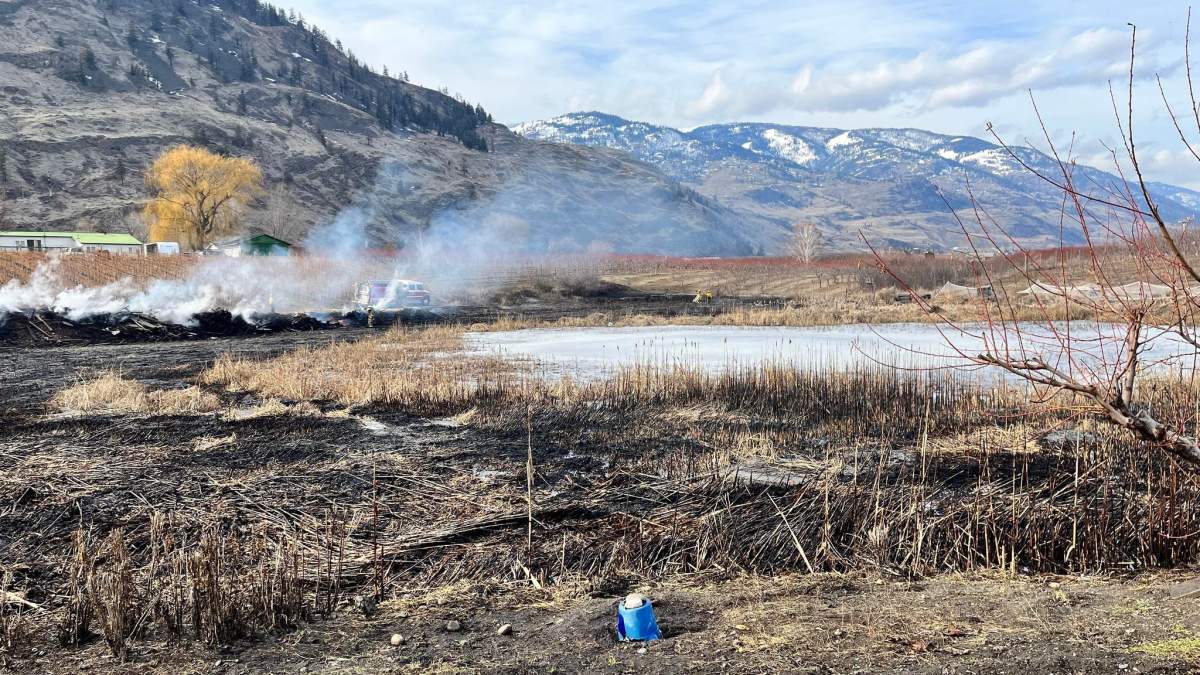 Feb 19, 2023 Brush fire Oliver