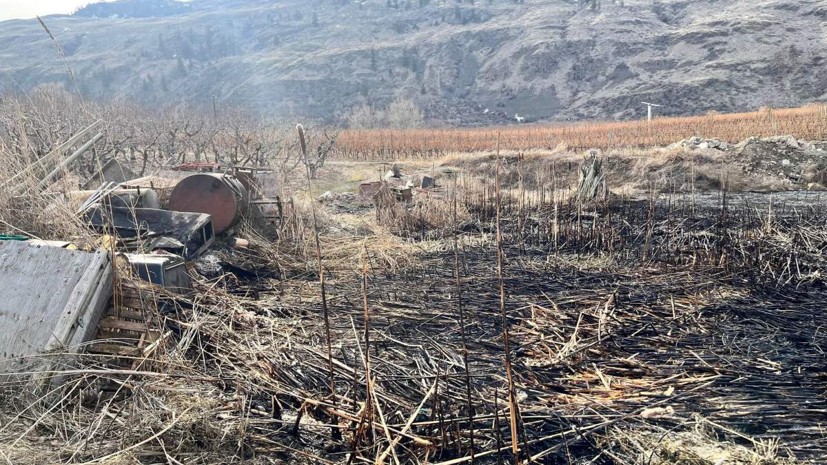 Feb 19, 2023 Brush fire Oliver4