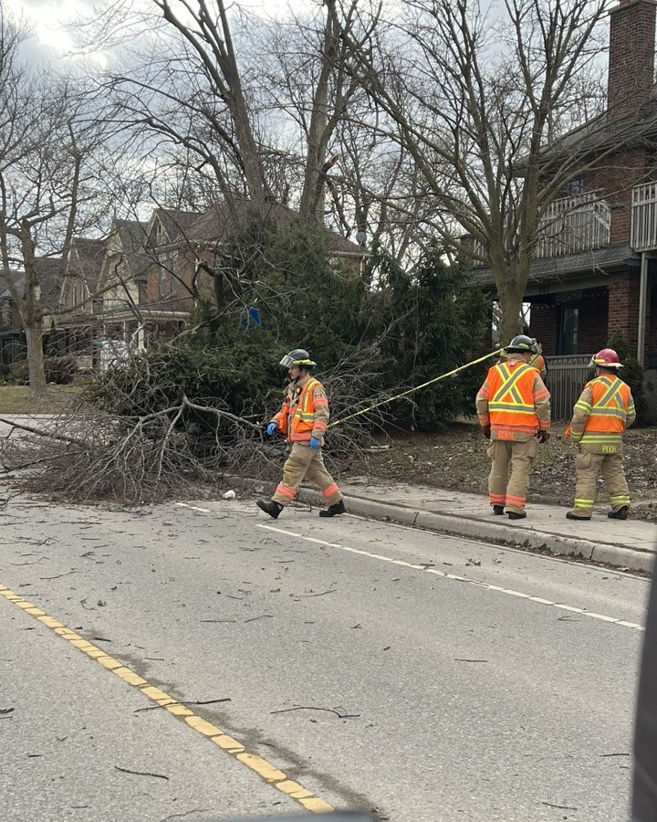 London Fire Department said a downed tree and wires fell onto a bus shelter at Ridout Street & Tecumseh Avenue Feb. 15.