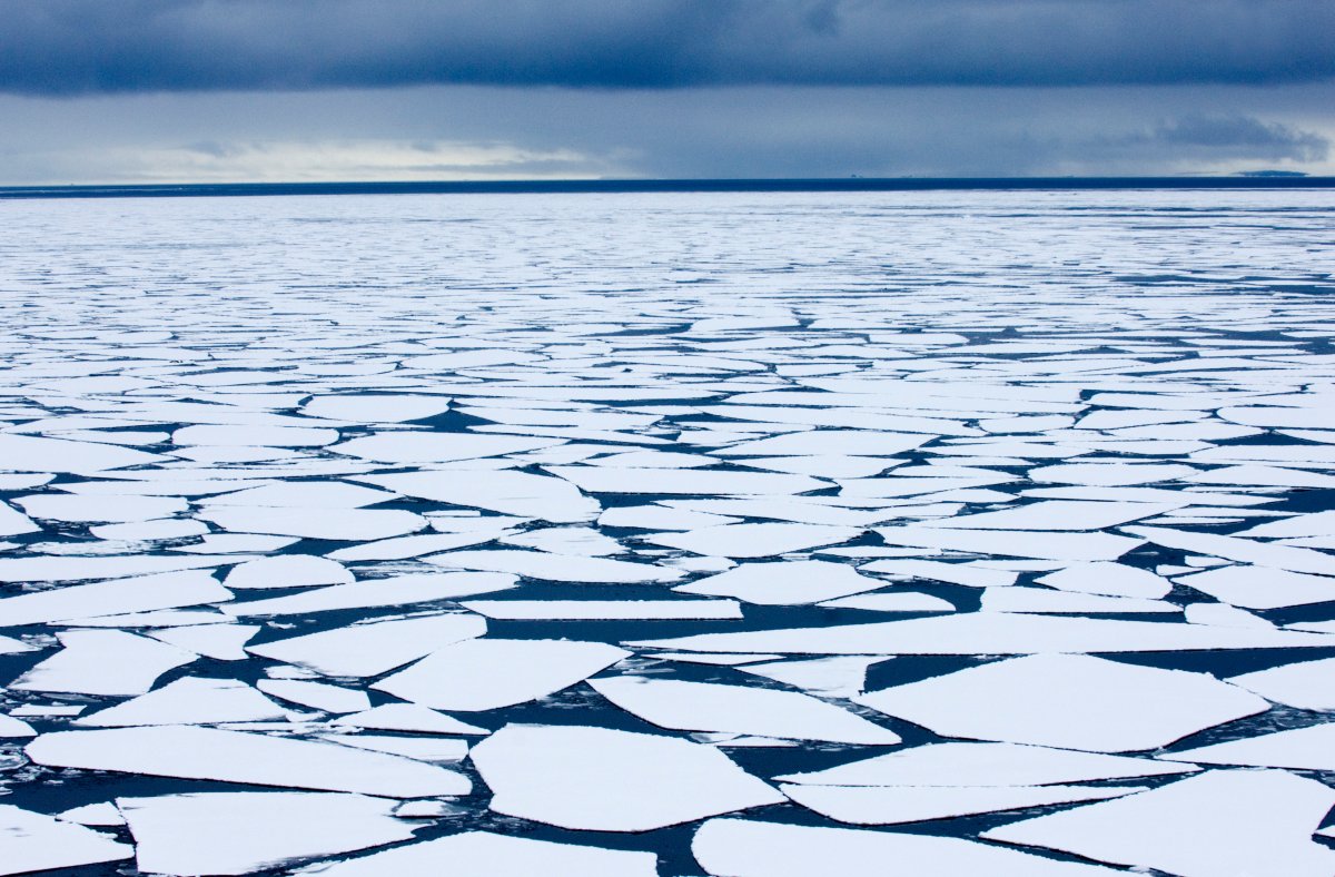 Broken sea ice.