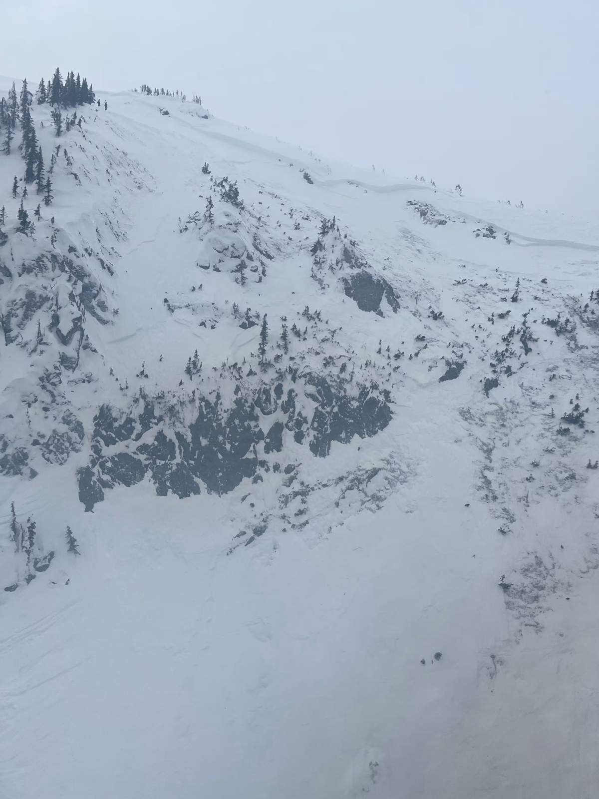 Photo showing the upper portion of the avalanche including the crown.