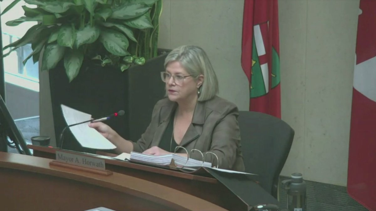 Hamilton councillors have been looking at changes to the governence city's t would allow them to soon add more diverse voices and medical experts to the governance of local public health as consultations with the province drag on.