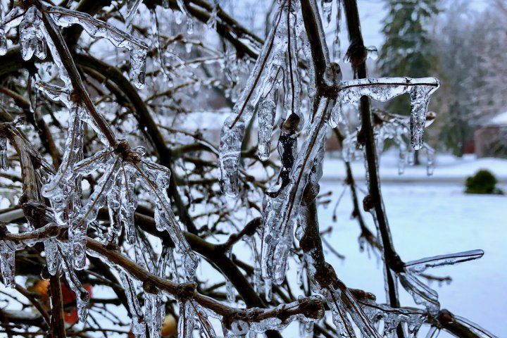 Freezing rain warning issued for parts of B.C.’s Interior